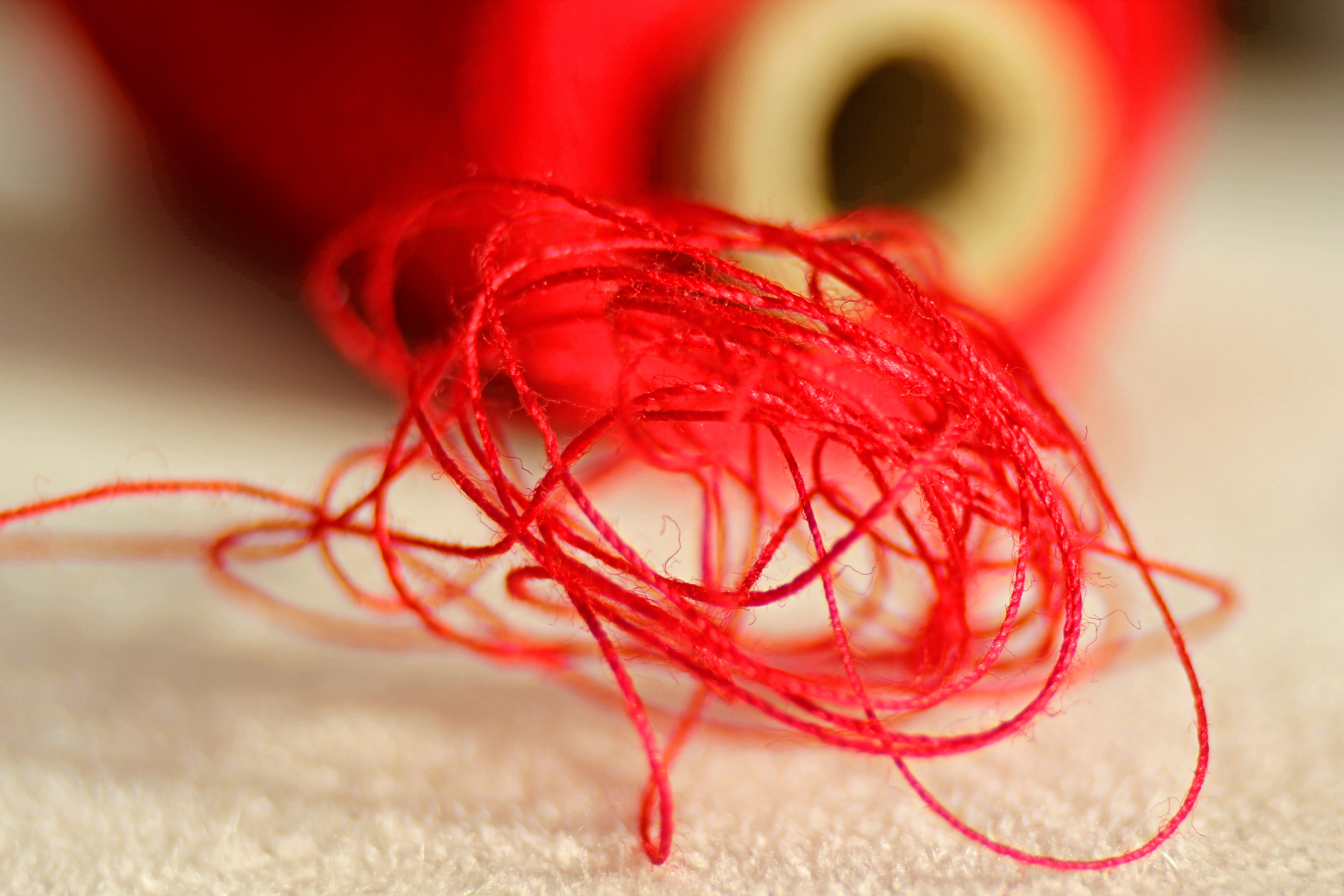 The Red Thread of Judaism