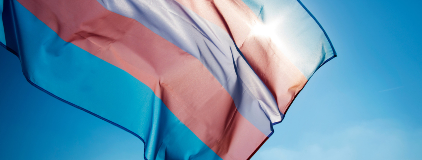 Tricolor blue pink and purple trans flag billowing in the wind with blue sky in the background and sunlight shining through the top right corner