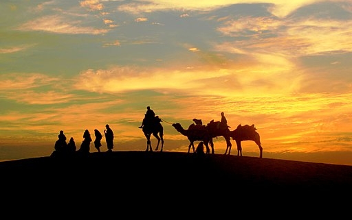 silhouette of people and camels at sunset in the desert