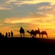 silhouette of people and camels at sunset in the desert